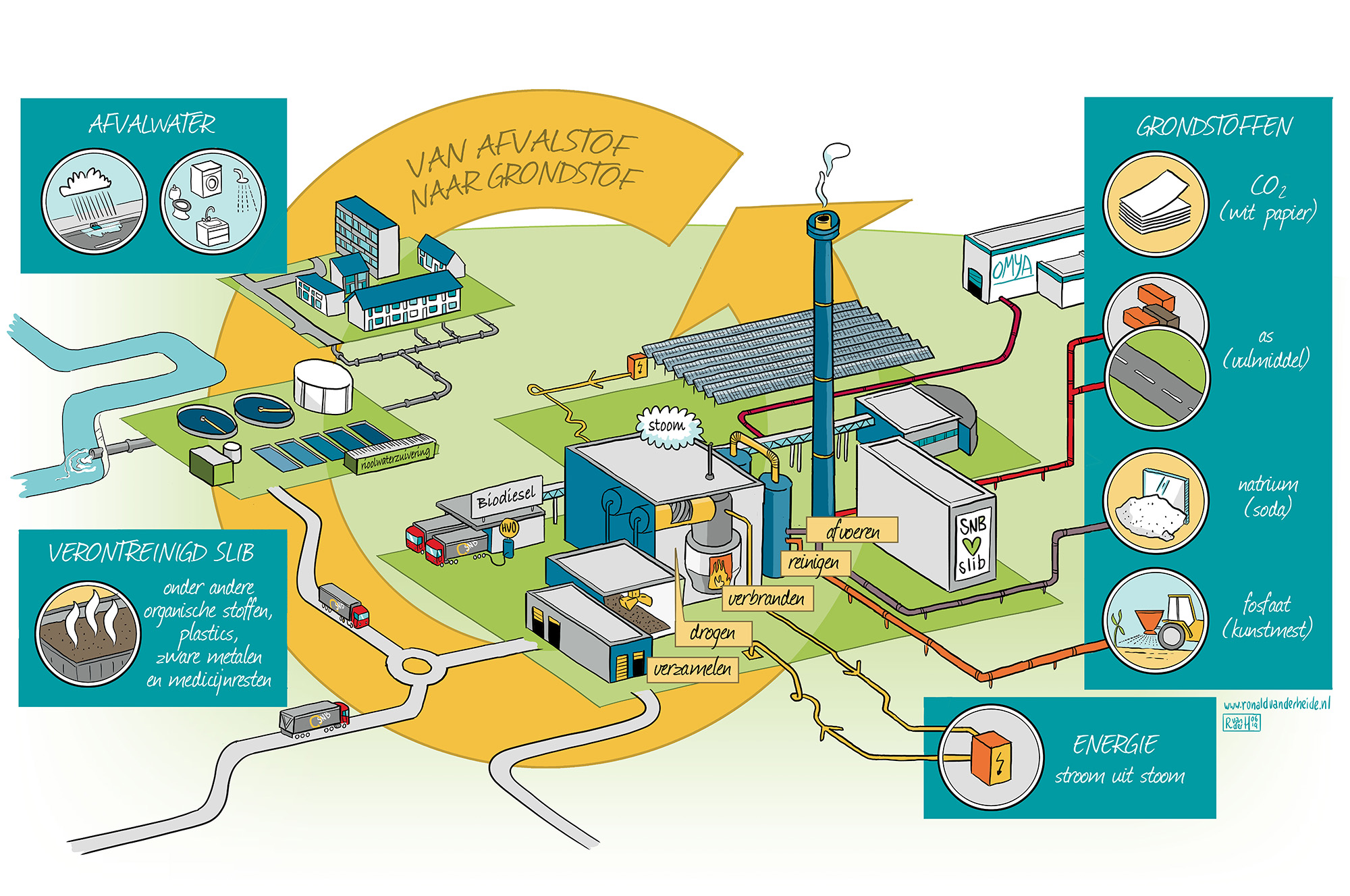 SNB_procesinfographics_def_2020_NL.jpg