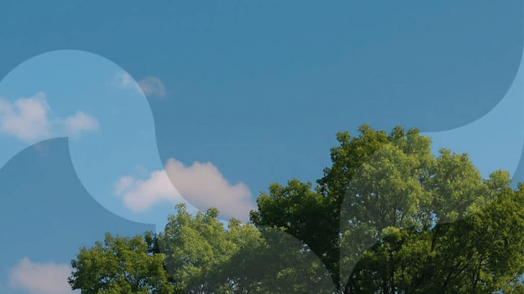 Wat We Doen Banner Image